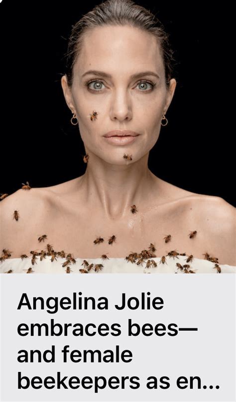 angelina jolie bee rescue.